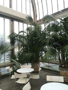 室内绿植环绕的休闲空间
