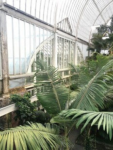 温室中的繁茂绿植景观