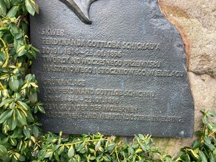 刻字石碑置于绿植间