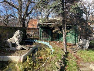 老旧庭院中的雕塑与绿植