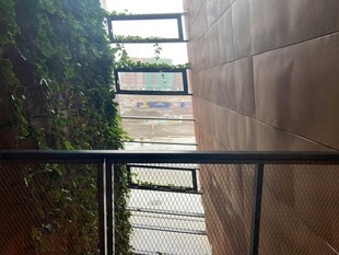 室内绿植墙与金属栏杆景观