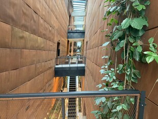 室内垂直绿植景观电梯区