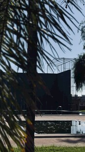 棕榈树旁的户外场景