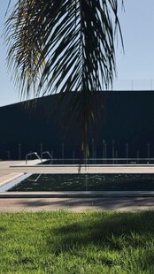 户外泳池边的棕榈树景观