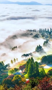 山间晨雾中的多彩森林景观