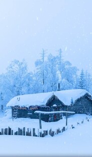 雪覆木屋的冬日静谧景象