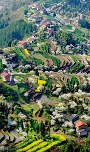 山村田园风光俯瞰美景