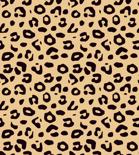 豹纹图案背景纹理