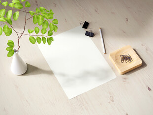 空白纸张与绿植文具组合