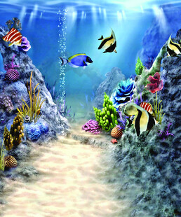 梦幻海底世界通道景观