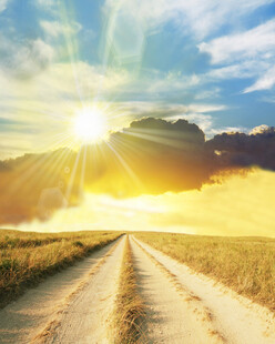 阳光照耀下的旷野之路