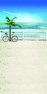 沙滩上的自行车与棕榈树