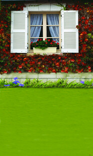 窗边繁花与翠绿草坪