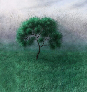 草原上的孤独绿树