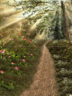 阳光洒落的林间小径