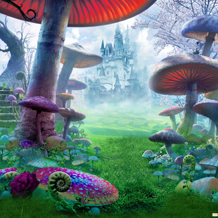 梦幻蘑菇森林奇幻景观