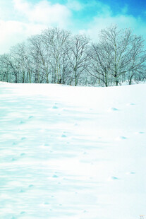 冬日雪景中的静谧树林