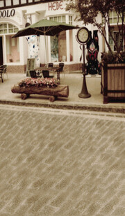 街头时尚女性与绿植景观