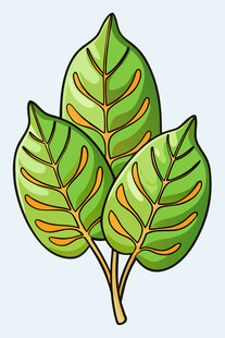 三片翠绿叶片插画
