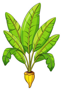 卡通风格绿色香蕉植物