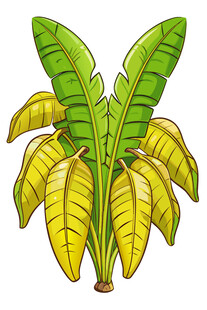 卡通风格的香蕉树插画