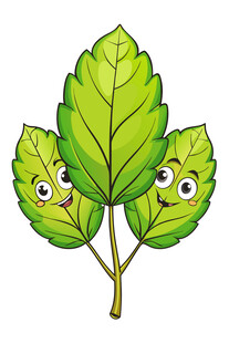 长着眼睛的可爱绿叶