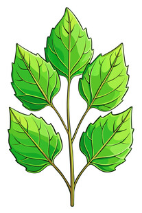 绿色植物叶片插画