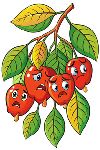 可爱表情的枝头红苹果