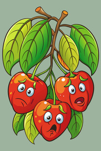 表情丰富的卡通樱桃