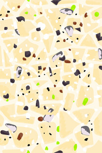 多彩坚果碎背景纹理图