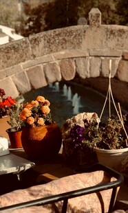 庭院多彩花卉装点景致