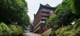 绿树环绕中的中式建筑