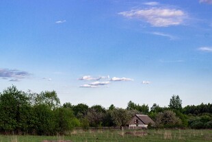 乡村田野中的小屋