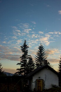 黄昏下的小屋与挺拔松树