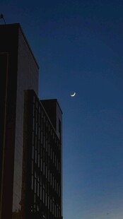 城市夜空下的弯月