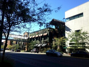 城市街道旁的建筑景观