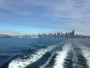 海上视角的城市天际线