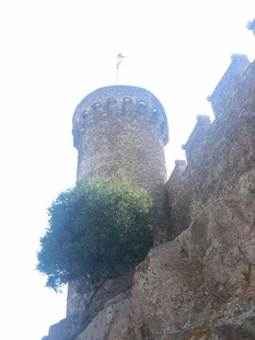 古老城堡塔楼屹立于山石间