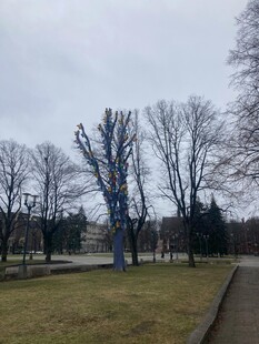 冬日公园的萧瑟景致