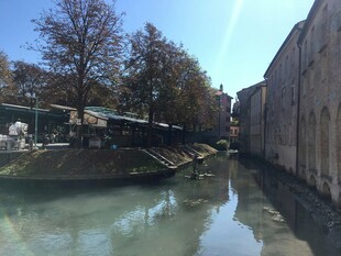 古老河道旁的静谧景致