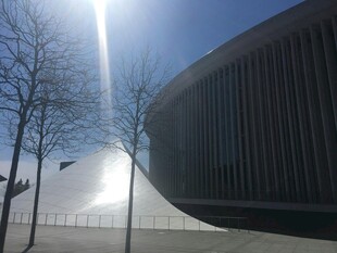 现代建筑与冬日树木景观