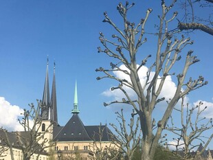 哥特式建筑景观