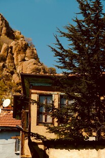 山间小屋旁的挺拔松树