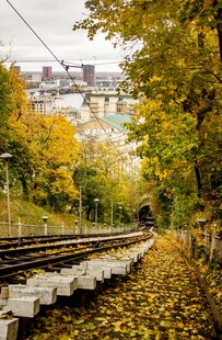 秋日铁轨旁的斑斓景致