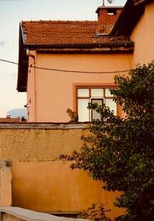 橙墙红瓦旁的葱郁绿植