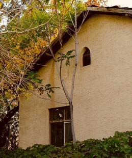 古朴小屋隐于绿植之间