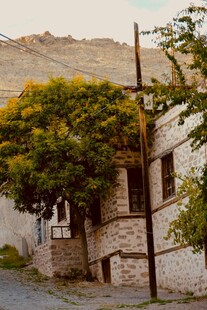 古朴乡村小屋旁的繁茂绿树