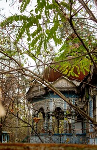 林中凉亭 绿意环绕景致美