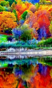 秋日湖畔斑斓彩林倒影