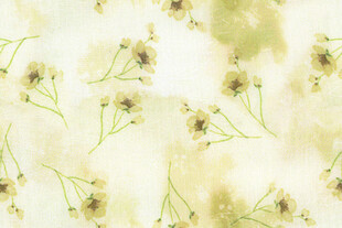 淡雅小雏菊背景图